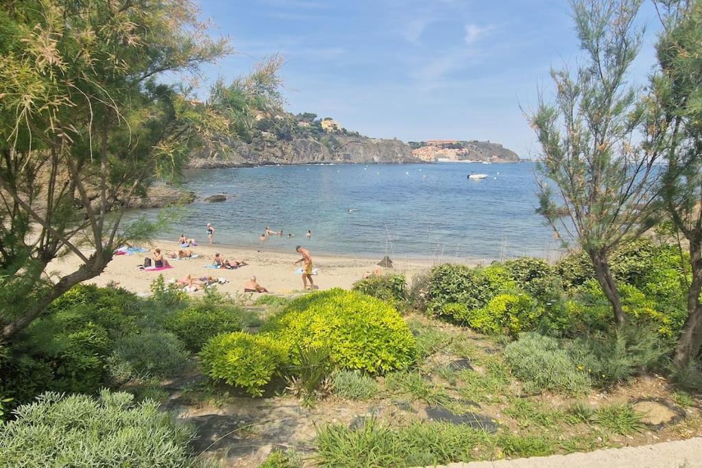 T3 En Bord De Collioure